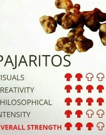 pajaritos