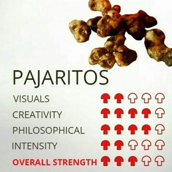 pajaritos