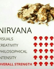 Buy Nirvana Psychedelics online