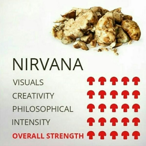 Buy Nirvana Psychedelics online