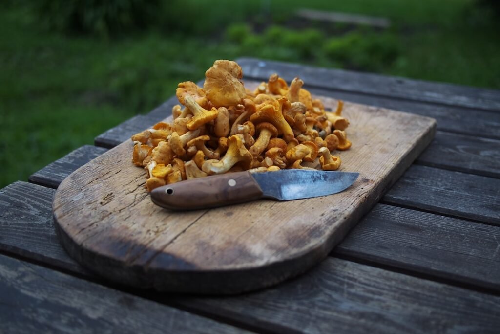 mushrooms as superfood